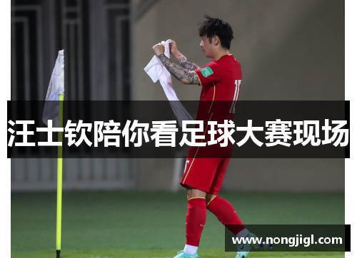 汪士钦陪你看足球大赛现场